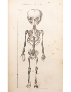 Printed Books & Manuscripts (Online Only)