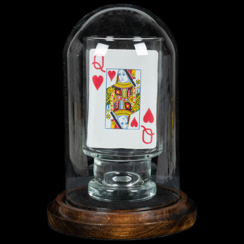 Winter Magic Auction - Online Only 